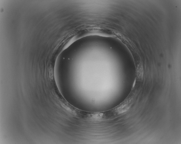 X0000068830474200605051241