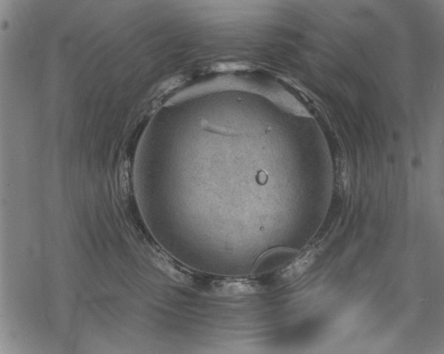 X0000068830475200605051241