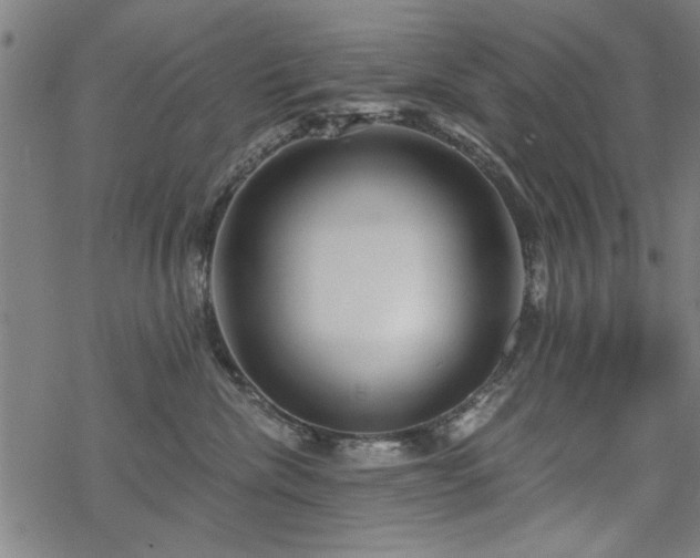 X0000068830476200605051241