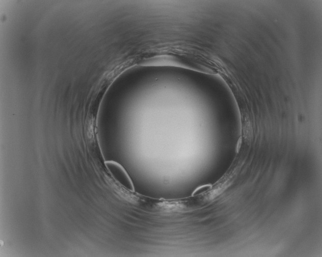 X0000068830477200605051241