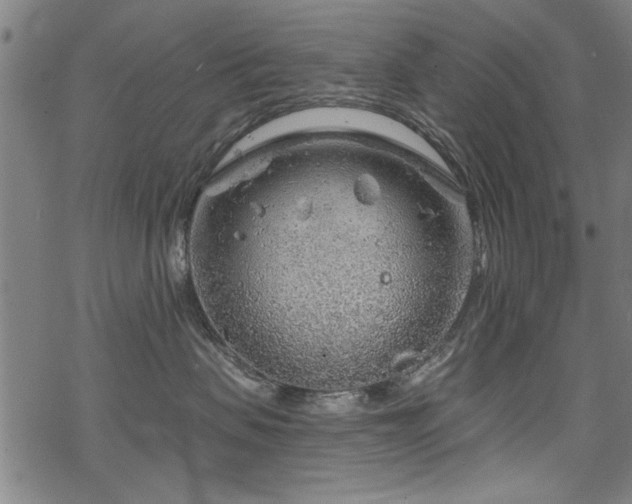 X0000068830479200605051241