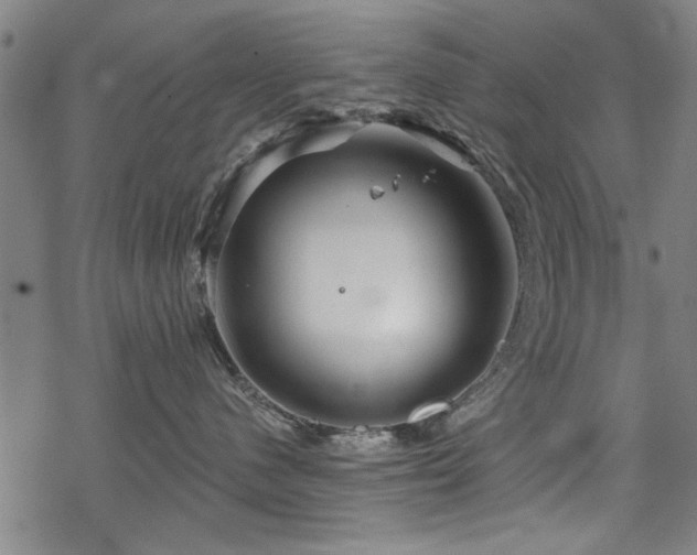 X0000068830480200605051241