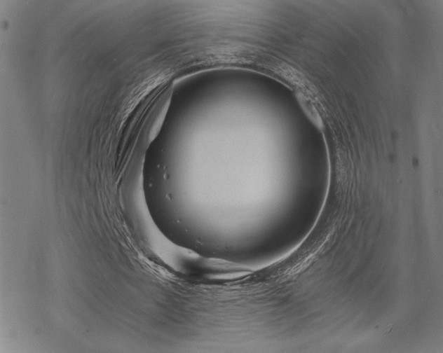 X0000068830481200605051240