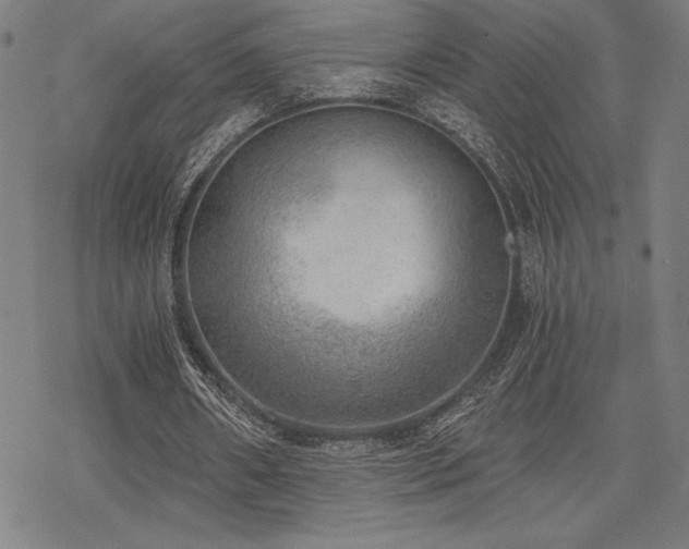 X0000068830482200605051240