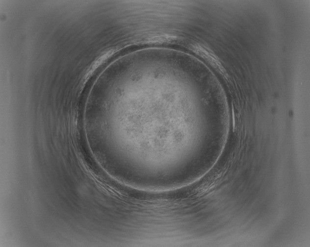 X0000068830483200605051240