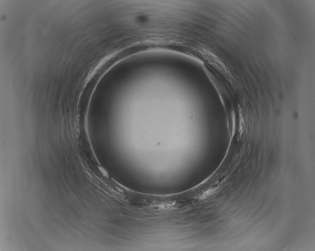 X0000068830484200605051240