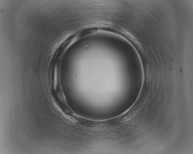 X0000068830485200605051240