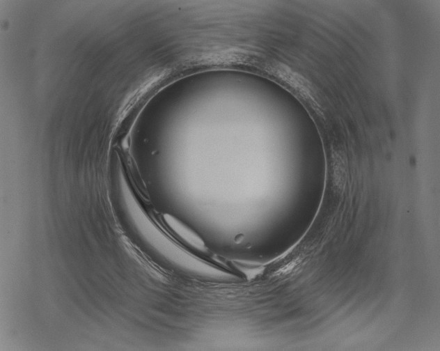 X0000068830486200605051240