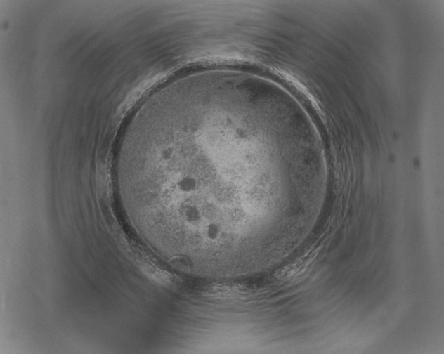 X0000068830487200605051240