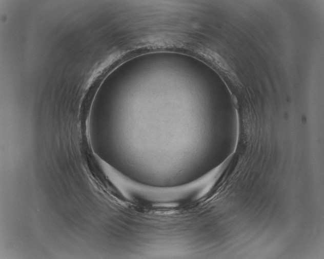 X0000068830488200605051240