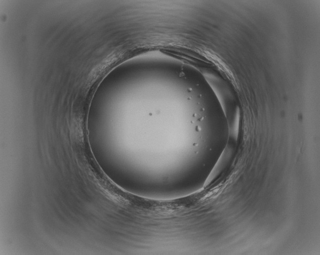 X0000068830489200605051240