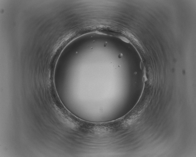 X0000068830490200605051240