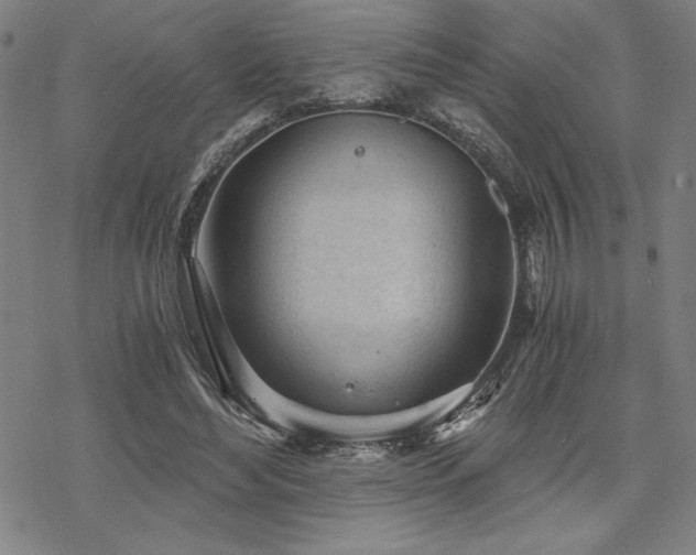 X0000068830492200605051240