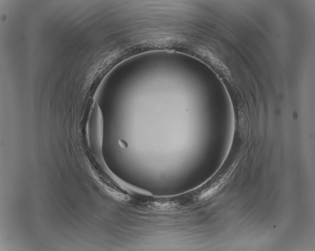 X0000068830493200605051240