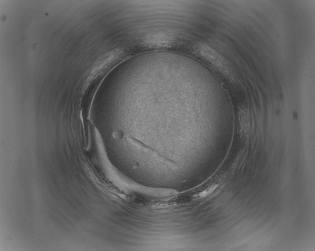 X0000068830494200605051240