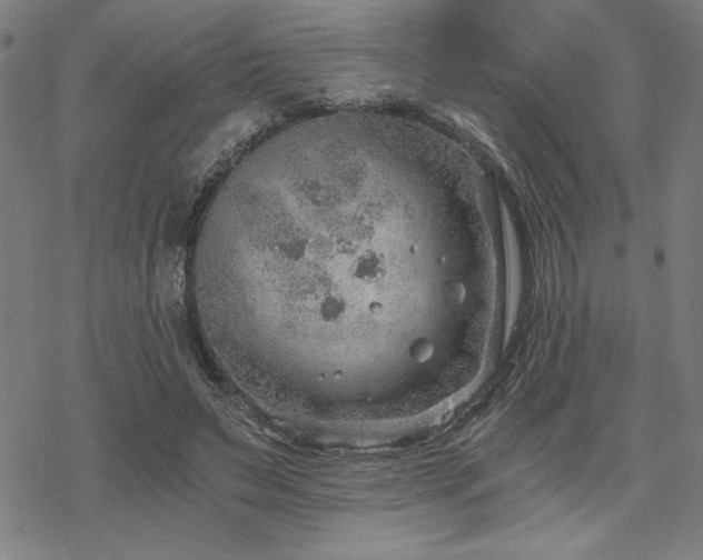 X0000068830495200605051240