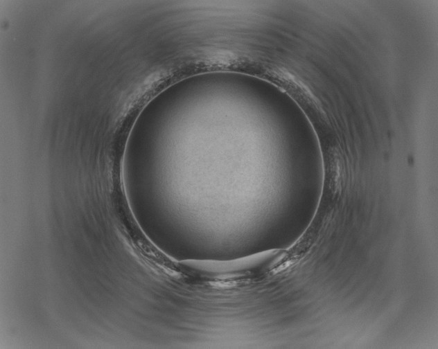 X0000068830496200605051240