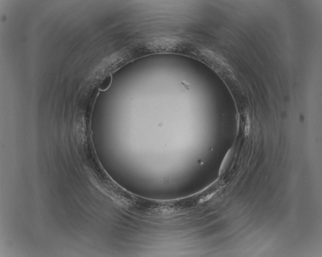 X0000068830498200605051240