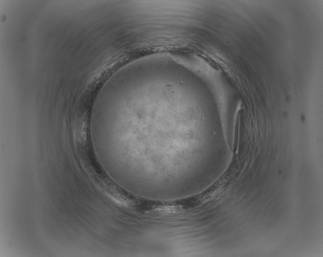 X0000068830499200605051240