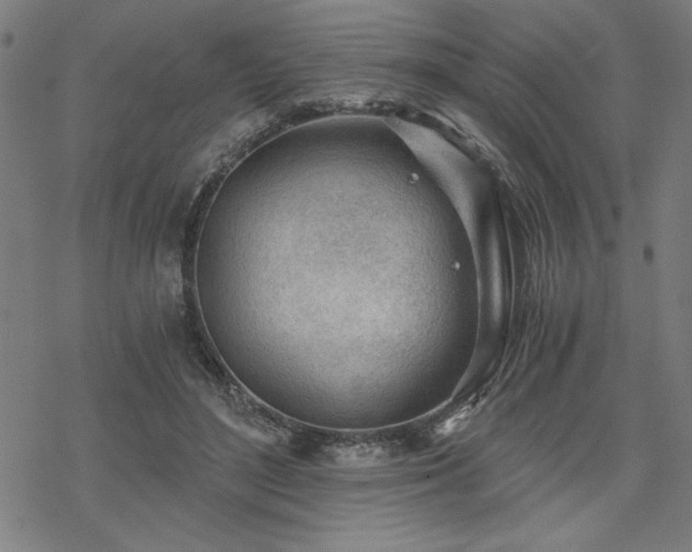 X0000068830500200605051240