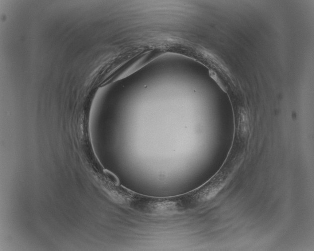 X0000068830501200605051240