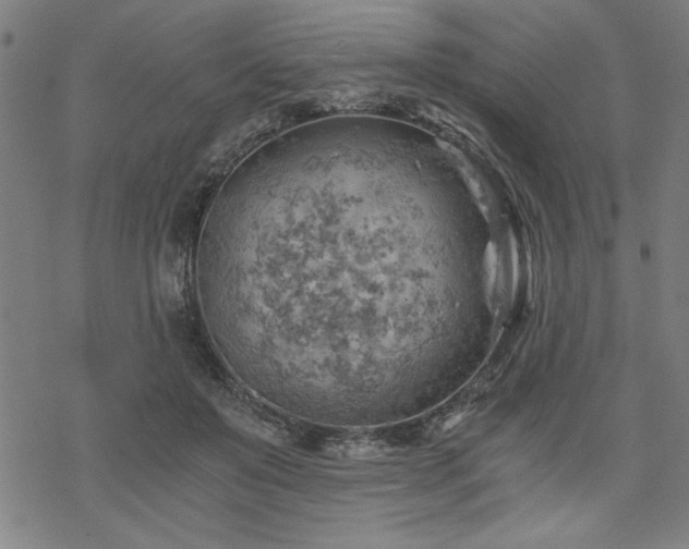 X0000068830503200605051240