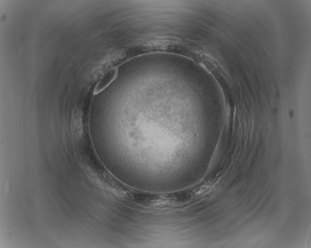 X0000068830504200605051240