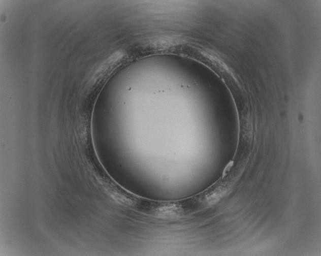 X0000068830505200605051240