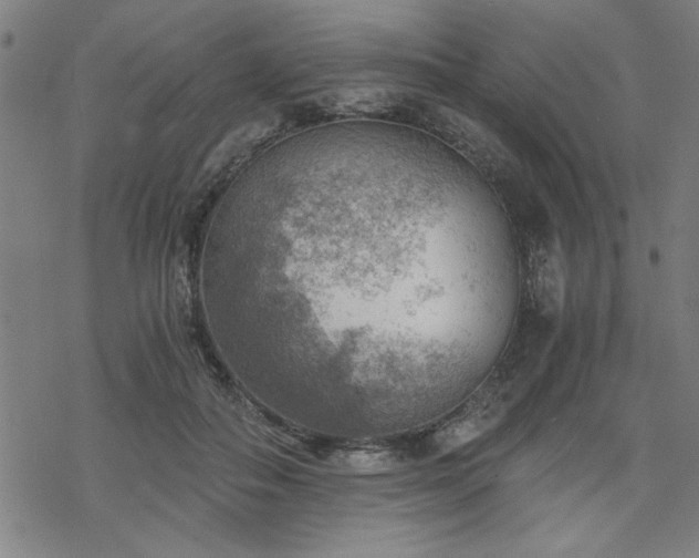 X0000068830506200605051240