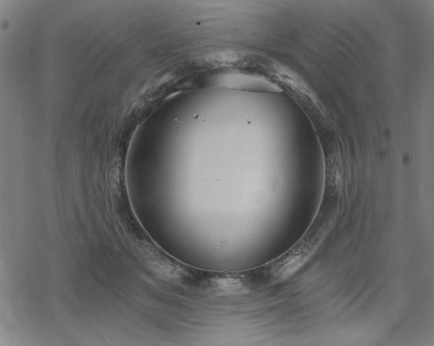 X0000068830509200605051240