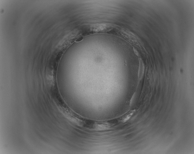 X0000068830510200605051240