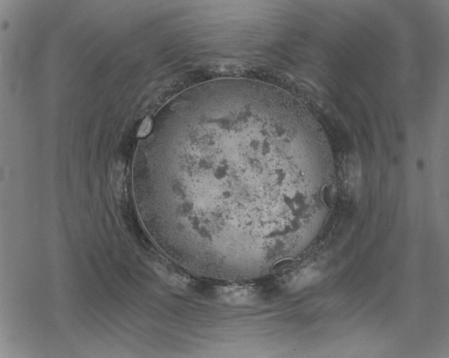 X0000068830511200605051240