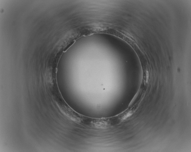 X0000068830512200605051240