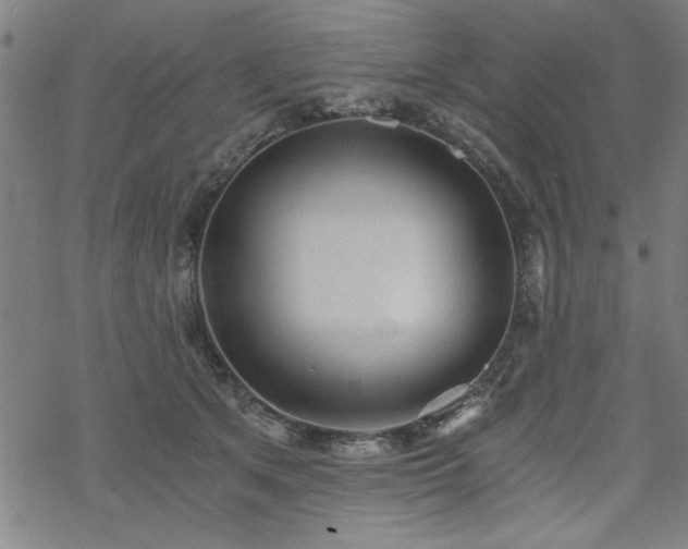 X0000068830513200605051239