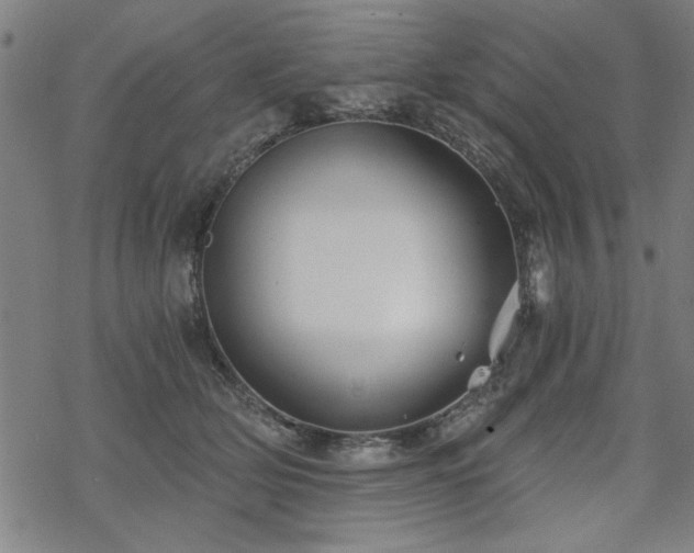 X0000068830514200605051239