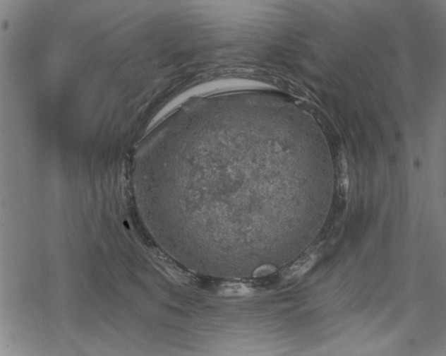 X0000068830519200605051239