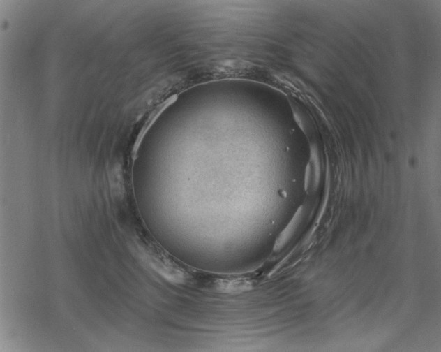 X0000068830520200605051239