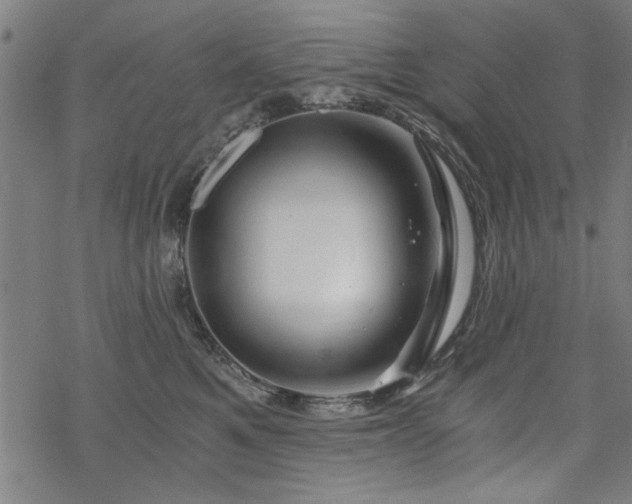 X0000068830521200605051239