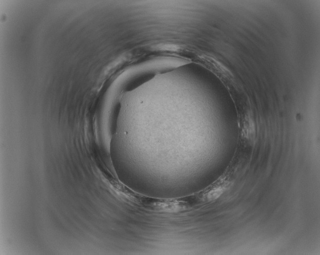 X0000068830524200605051239