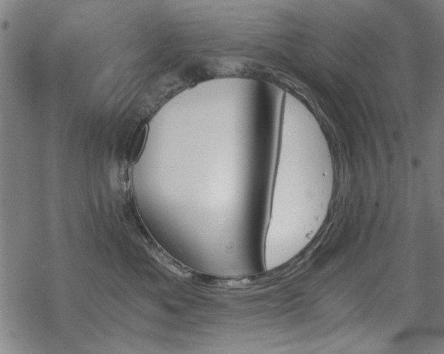 X0000068830525200605051239