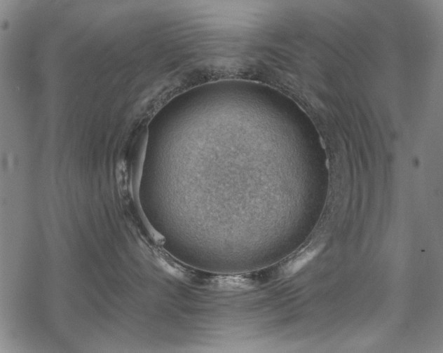 X0000068830528200605051239