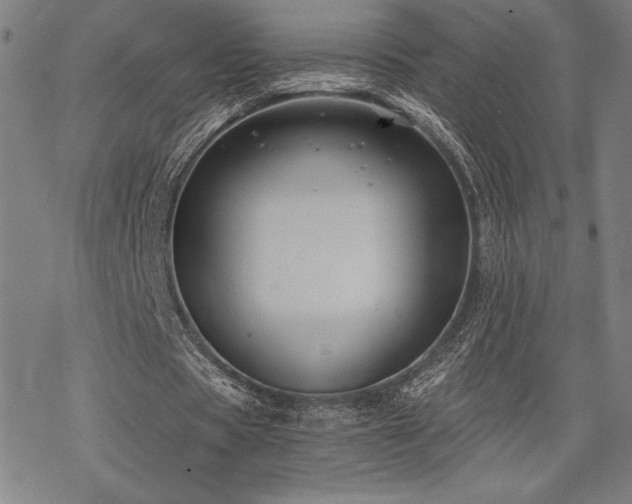 X0000068830529200605051238