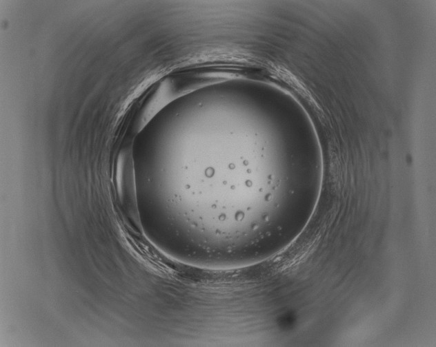 X0000068830530200605051238