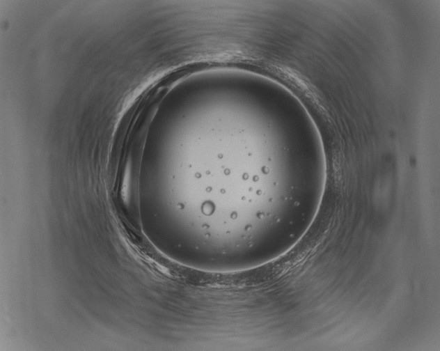 X0000068830532200605051239