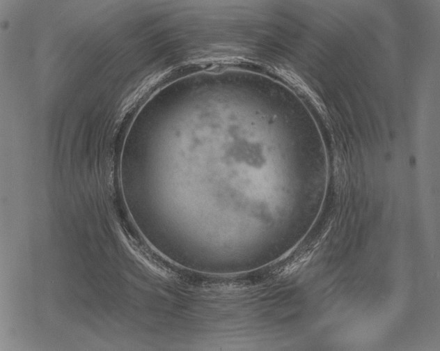 X0000068830533200605051239