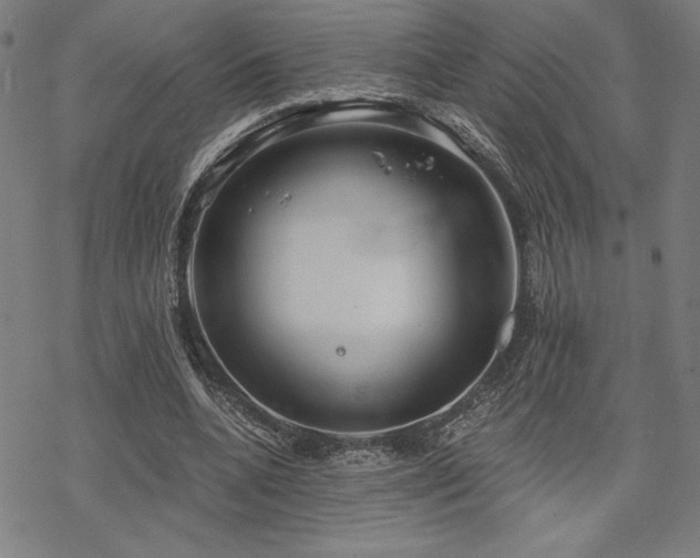 X0000068830536200605051239