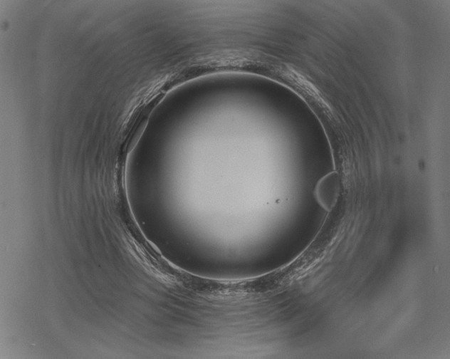 X0000068830537200605051239