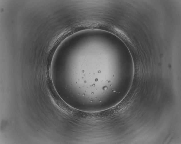 X0000068830538200605051239