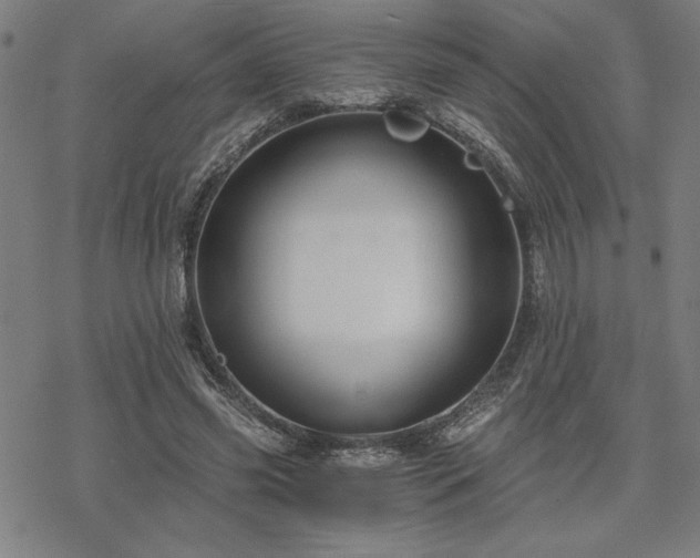 X0000068830541200605051239