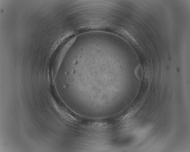 X0000068830542200605051239